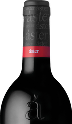 Áster