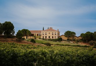 Vineyards in Áster