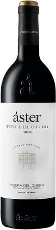 Áster Finca El Otero
