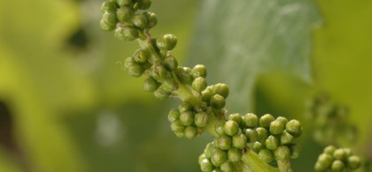 blog-image