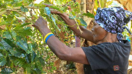 200.000€ de solidaridad destino a Burkina Faso, Haití, Cabo Verde, Chad y Bolivia