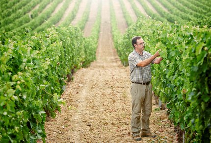 Roberto Frías, Viticultor del Año en el Informe 2026 de Tim Atkin MW