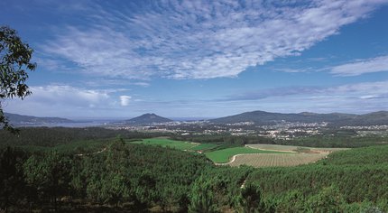 Descubrindo tesouros: grandes planes en Rías Baixas