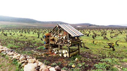 La Rioja Alta, S.A. inicia la instalación de albergues de "microfauna aliada" en sus viñedos