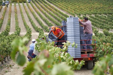 The end of the harvest confirms good expectations